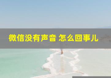 微信没有声音 怎么回事儿